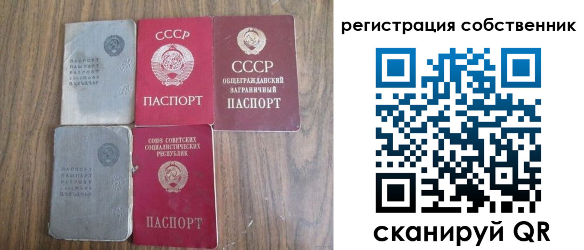прописка поиск в Раменском